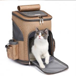  Cat Trolley Backpack 