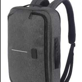 2 in 1 Computer Laptop Backpack